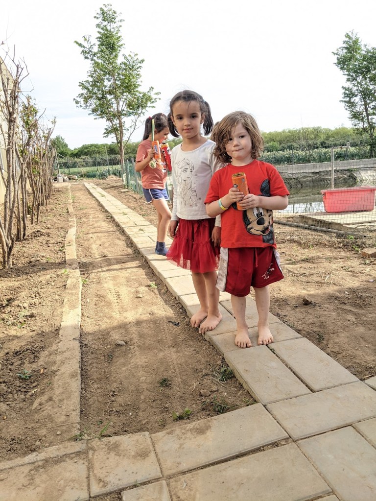 images of children learning about their natural world and where theri food comes from